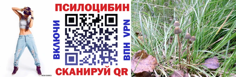 Галлюциногенные грибы мухоморы  Правдинск 